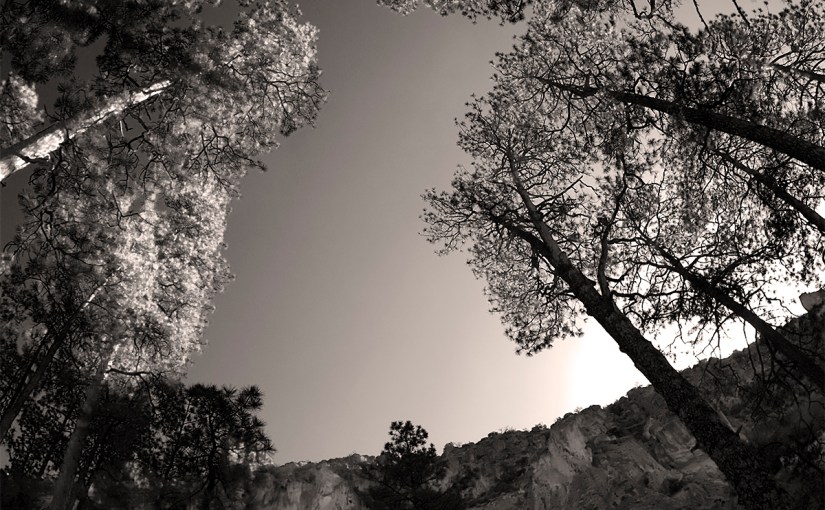 Santa Fe Architecture