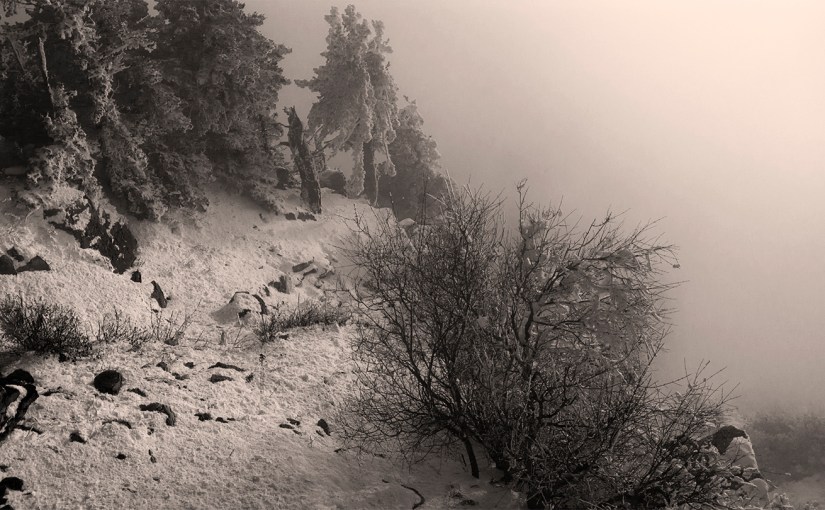 Snow Time in New&nbsp;Mexico