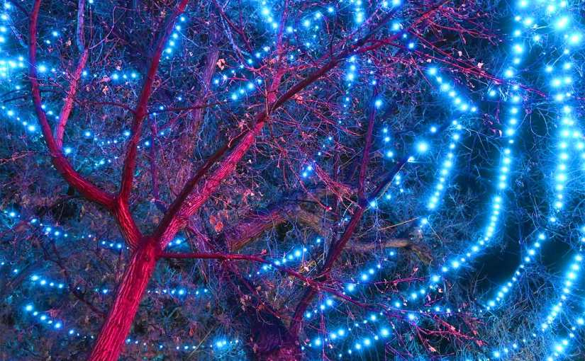 Dreamy Swirling Christmas Lights Santa Fe New Mexico