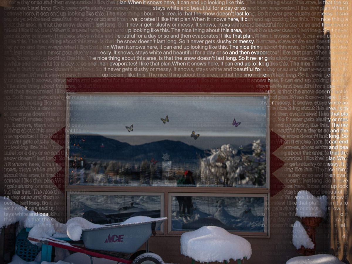 Text and Image: Snow&nbsp;Blast